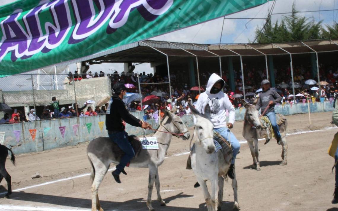Revive Huamantla su tradicional carrera de burros - El Sol de Tlaxcala |  Noticias Locales, Policiacas, sobre México, Tlaxcala y el Mundo