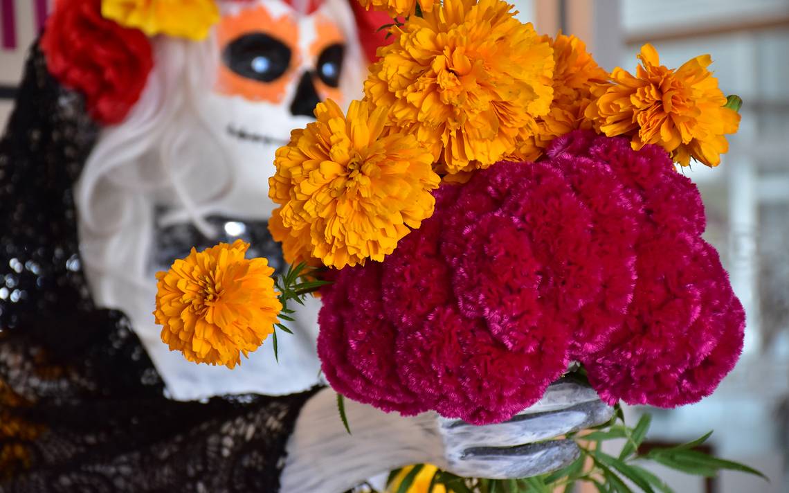 Entérate. Este es el significado de las flores en la festividad de Todos  los Santos - El Sol de Tlaxcala | Noticias Locales, Policiacas, sobre  México, Tlaxcala y el Mundo