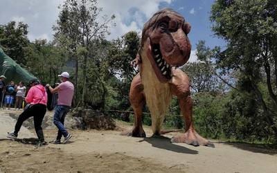 Dinosaurios, atractivo familiar en Cuaxomulco - El Sol de Tlaxcala |  Noticias Locales, Policiacas, sobre México, Tlaxcala y el Mundo