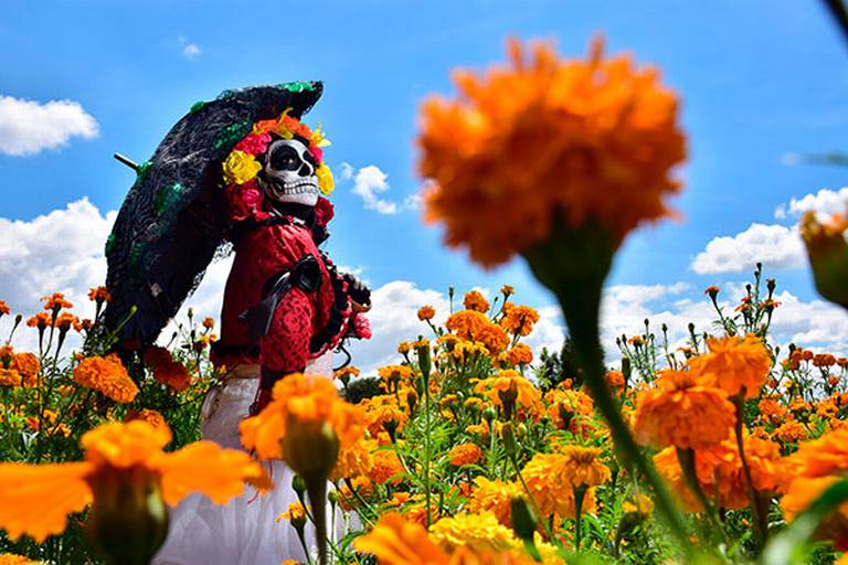 Día de Muertos, un festejo de vida - El Sol de Tlaxcala | Noticias Locales,  Policiacas, sobre México, Tlaxcala y el Mundo