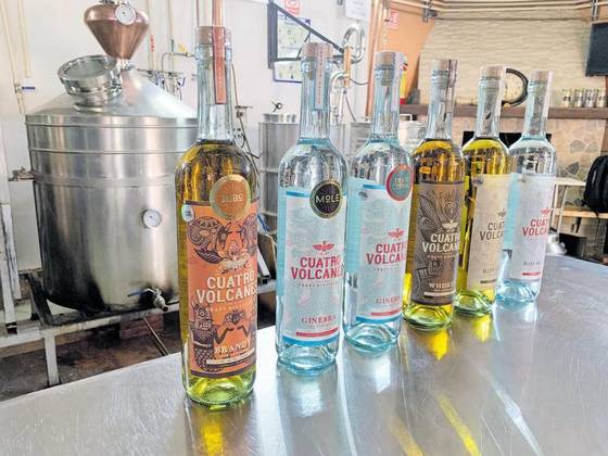 La microempresa creó bebidas de whisky, ron, ginebra y brandi. | Eduardo Tlachi | El Sol de Tlaxcala