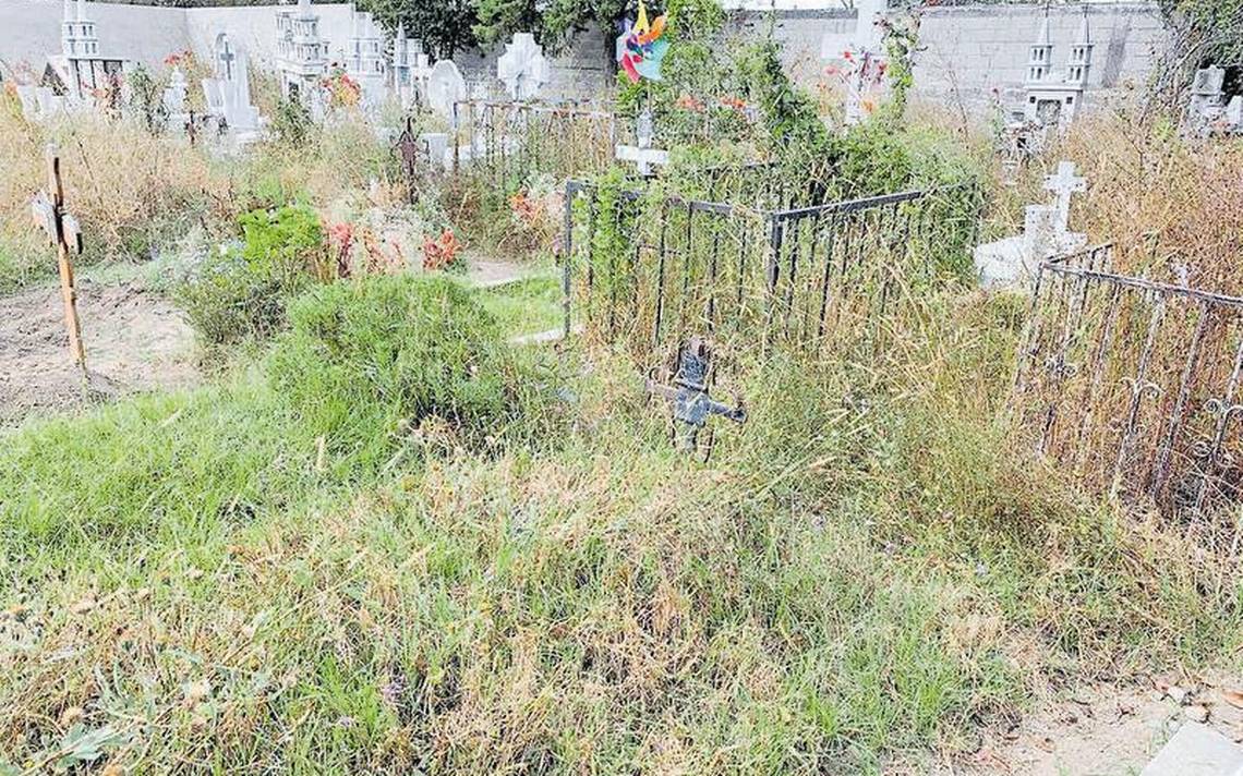Cubierto de maleza, brilla el cementerio de Tepeyanco – El Sol de Tlaxcala